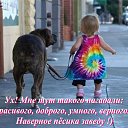   (44. ),  -  25  2014    