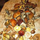 ���� ������� �� �������!!!, ��������� - ��������� 9 �������� 2014 � ������ ��������� �������