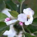 ������ �� ������� �������