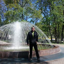 ���������, �������, 41 ���