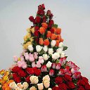 ���� �������, �����, 73 ���� - ��������� 18 ������� 2014 � ������ ������ ��������