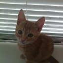 ��� ������� ����� �� ������� ���� ����������