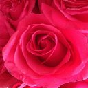 ���� �������, ������ - ��������� 22 ������ 2014 � ������ ���� ����������