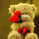 ���� �����, �����, 63 ���� - ��������� 6 ������� 2014