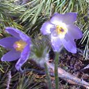 ���� Maikl, ������, 53 ���� - ��������� 9 �������� 2014 � ������ ���� ����������