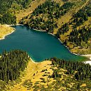  Nasser, , 64  -  3  2014    