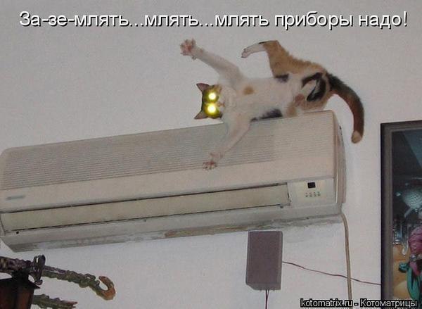 �������� - 6 ������ 2014 � 16:03 - 17