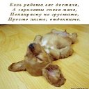 ���� �������, ��������, 59 ��� - ��������� 24 ������� 2014 � ������ ������ ��������