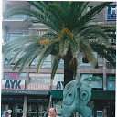 ���� ���������, ������, 68 ��� - ��������� 1 ������� 2014