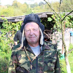 ���� ��������