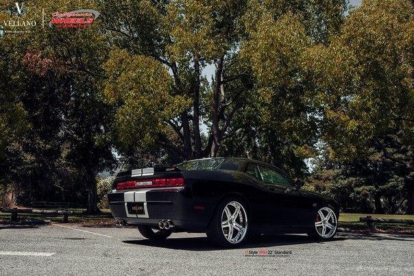 Dodge Challenger SRT8 on Vellano Wheels. - 4