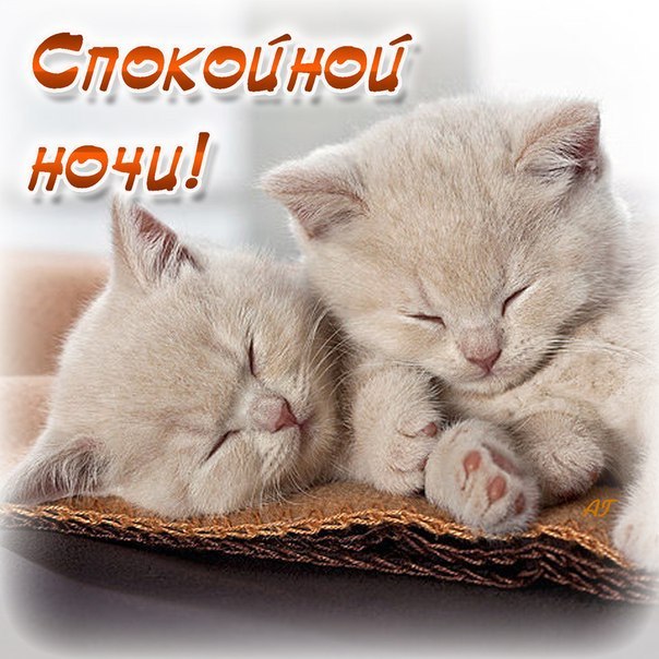  , !!  ٨       ڨ!!  ...