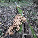 ���� ������, �������� - ��������� 17 �������� 2014 � ������ ������ � ��������!�