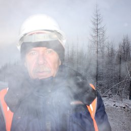 ������, �������, 71 ���