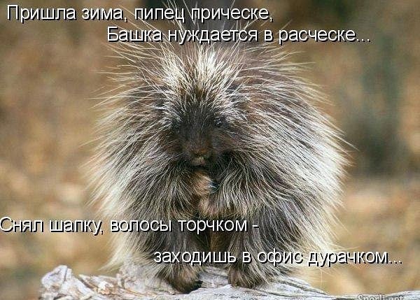 �������������� �� ���� �������� <a href=