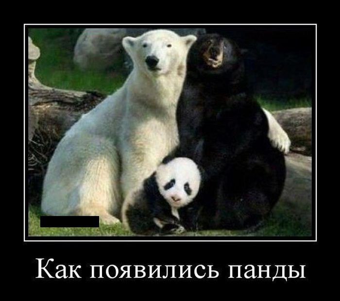 �������������� �� ���: <a href=
