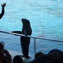 ���� �����, ������ �������� - ��������� 16 �������� 2014