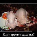 ���� (����������), ����-��������� - ��������� 16 ������ 2014 � ������ ������ ��������