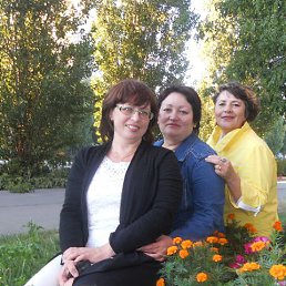 ���� �������, ���������� - ��������� 8 �������� 2014