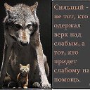 ���� �������, ���������, 43 ���� - ��������� 31 ������� 2014 � ������ ������ ��������