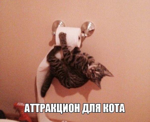 ������ - ��������� - 24 ������ 2014 � 19:00