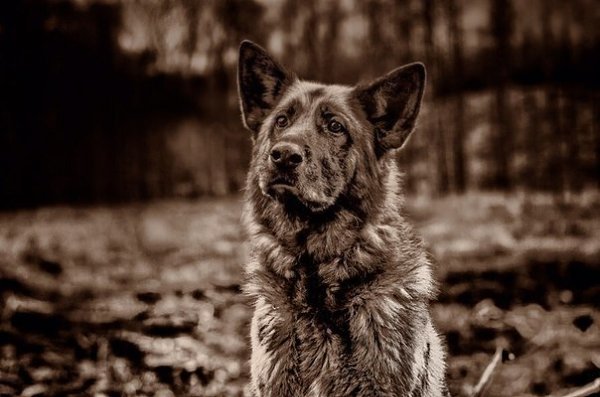 ��� �������� ������� � ��� ���. ��� �� ������ ������ � ����, ��� ��� ������ ������ � ��������.�