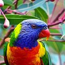 ���� �������, �����-���������, 51 ��� - ��������� 25 �������� 2014 � ������ ���� ����������