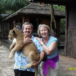 ��������, �����������-��-�����, 65 ���