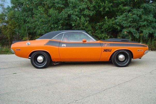 1970 Dodge Challenger T/A 340 Six Pak - 3