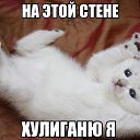 ���� Serj, �����-��������� - ��������� 11 �������� 2014 � ������ ������ ��������