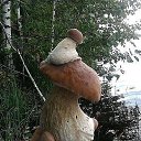 ���� ����, ������, 50 ��� - ��������� 1 �������� 2014 � ������ ������ ��������