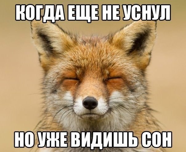    :D - 19  2014  08:48
