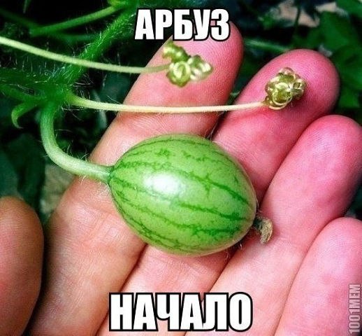 �������������� �� ���� �������� <a href=
