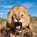 ���� ������, ������, 54 ���� - ��������� 3 �������� 2014 � ������ ���� ����������