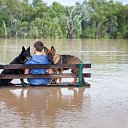 ���� �������, �����-��������� - ��������� 2 �������� 2014 � ������ ���� ����������