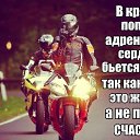 ���� ������, �������������, 38 ��� - ��������� 1 ������ 2014 � ������ ���� ����������