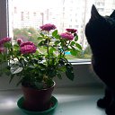 ���� ���, ��������, 62 ���� - ��������� 30 ������� 2014 � ������ ���� ����������