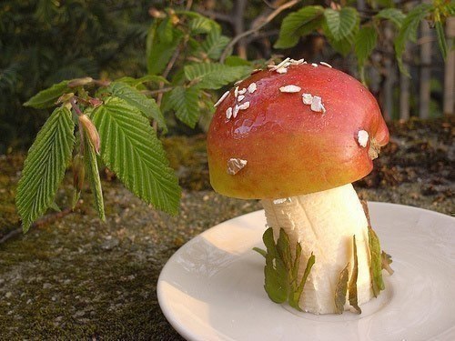 ГОТОВИМ ДЕТЯМ - 5