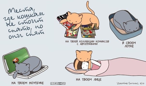 Котизм как религия.