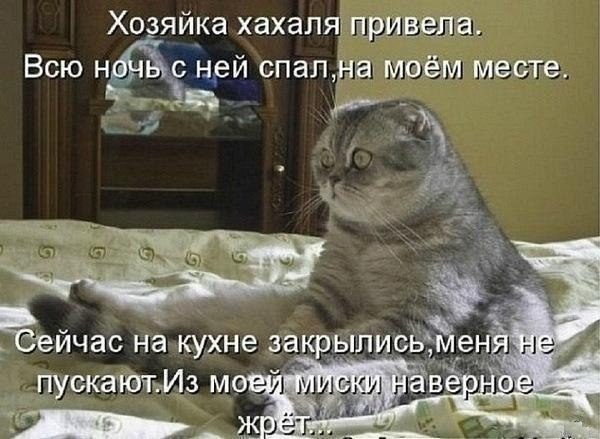    |   - 23  2014  22:02