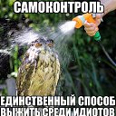 ���� ���, ������, 49 ��� - ��������� 1 �������� 2014 � ������ ������ ��������