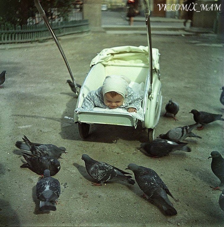   , 1962 .