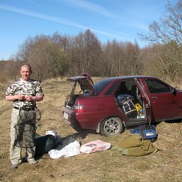 , 61, 