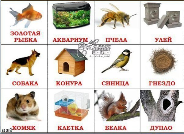 РАЗВИТИЕ РЕЧИ САМЫХ МАЛЕНЬКИХ. ЧЕЙ ДОМИК? 1. Воробей живет под крышей. В теплой норке – домик мыши. ...