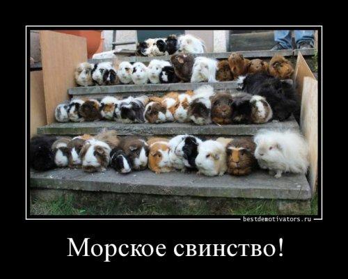 �������������� �� ���: <a href=