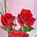 ���� ������, �����������, 62 ���� - ��������� 24 ������ 2014