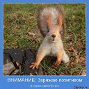 ���� ��������, ��������, 52 ���� - ��������� 8 �������� 2014 � ������ ������ ��������