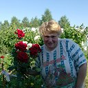 ���� ����� �������, ������ ��������, 61 ��� - ��������� 30 ������ 2014