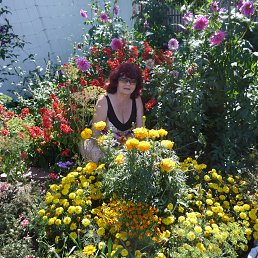 ������, ���������, 74 ����