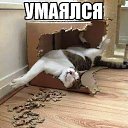 ���� �������, �����, 40 ��� - ��������� 26 ������� 2014 � ������ ������ ��������